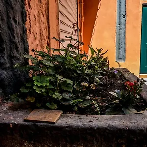 https://little-house-napoli.hotels-amalfi.com